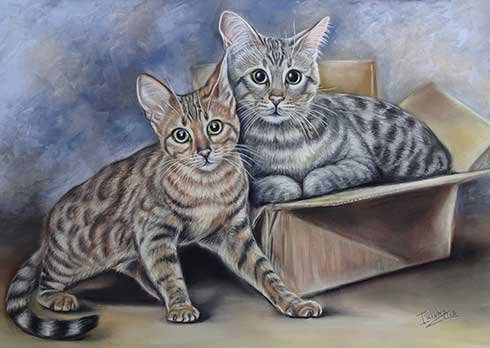 Cat Portrait of two cats by Irisha's Pet Portraits