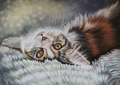 Cat Portraits by Irisha's Pet Portraits