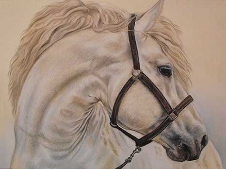 Horse Portraits - Irisha's Pet Portraits